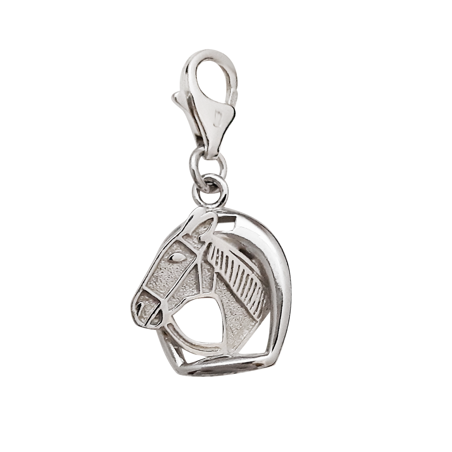 Horse Head in Stirrup